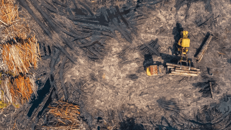 nota-pl-da-devastacao-2