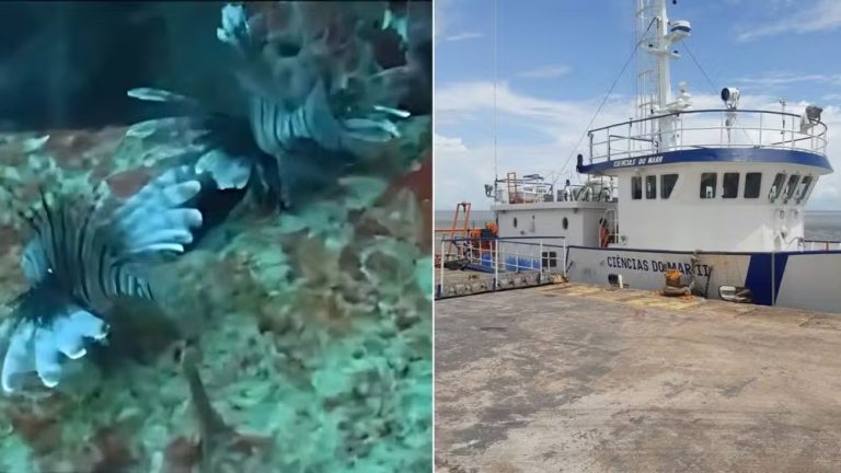 sem-nome-1920-x-1080-px-1-